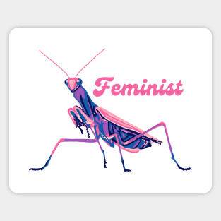 Praying Mantis is a Feminist Magnet